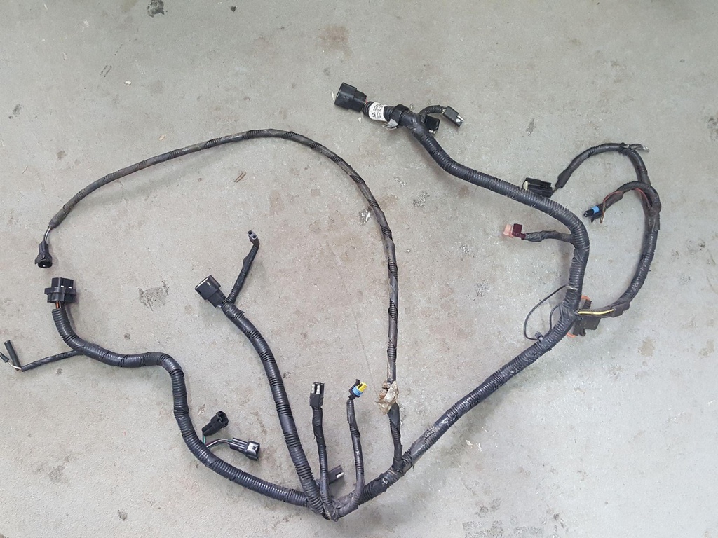 MAIN HARNESS