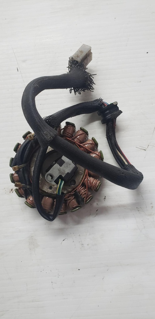 STATOR ASSY