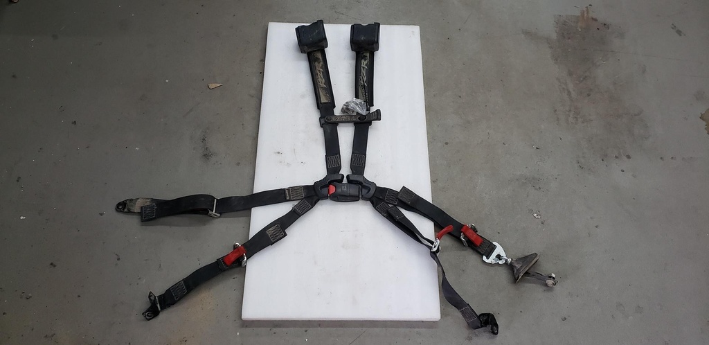 MULTIPOINT SEAT BELT ASSEMBLY,