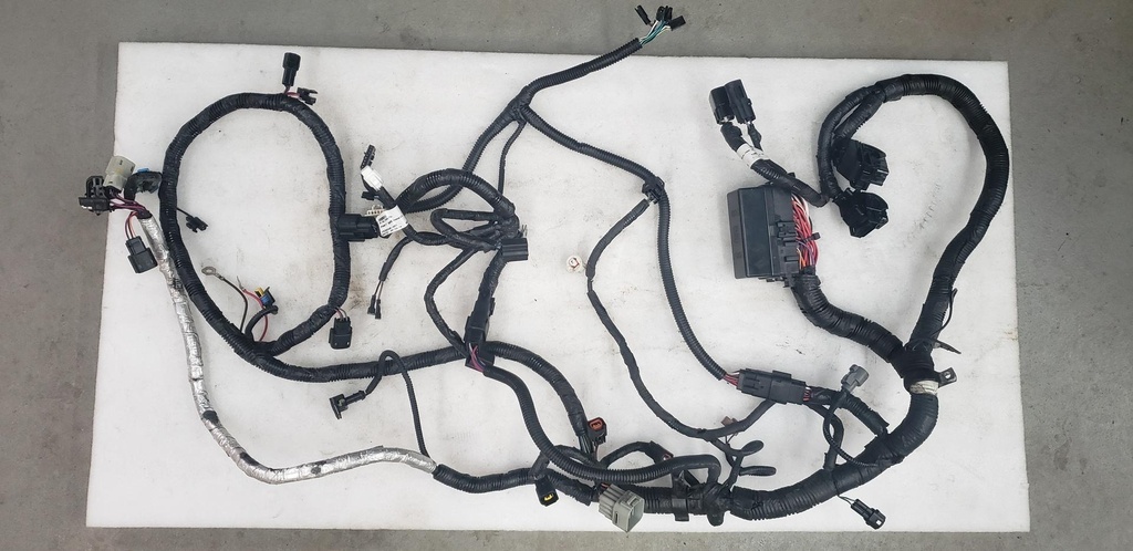 Wire Harness Assy - 8LJ-H2590-00-00 YAMAHA
